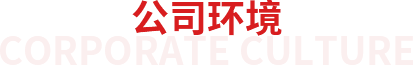青龙报免费资料大全
